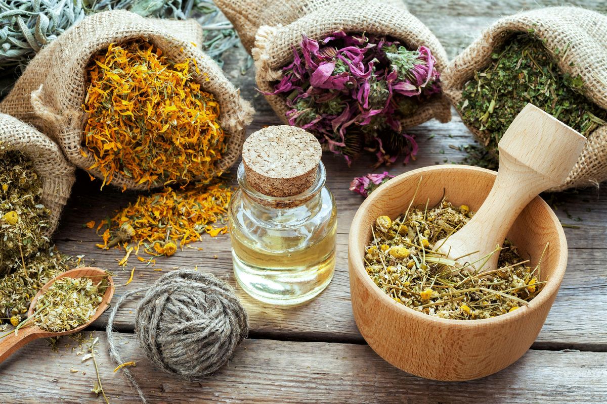 Hands-On Herbal Medicine Workshop