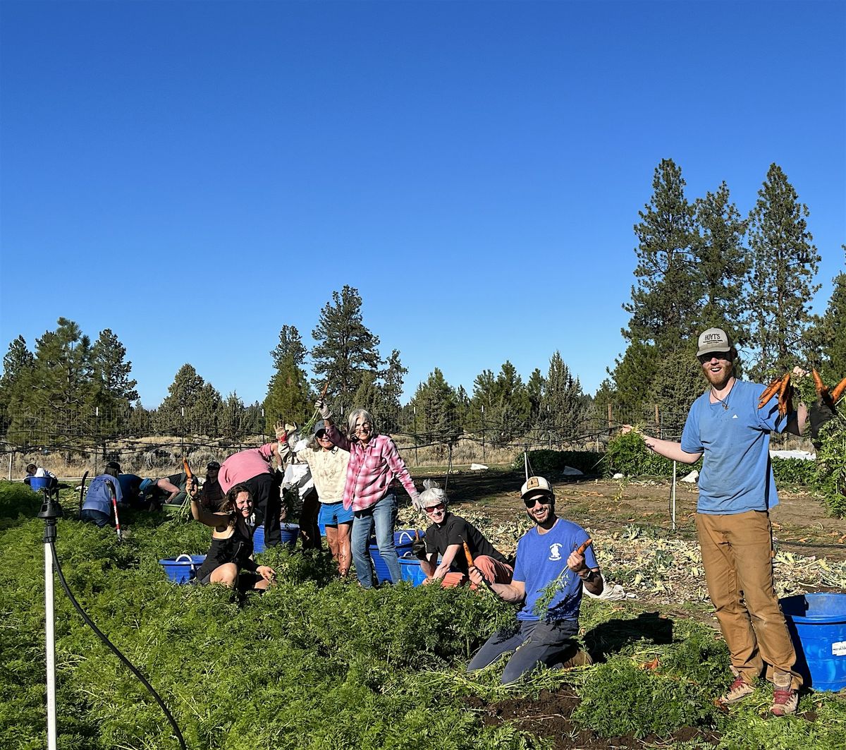Community Volunteer Days at Seed to Table Farm