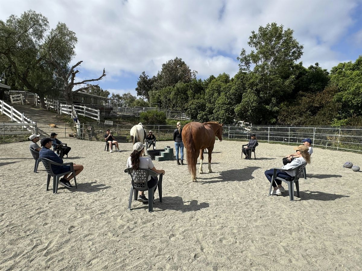 Mindfulness and Breathwork with Horses