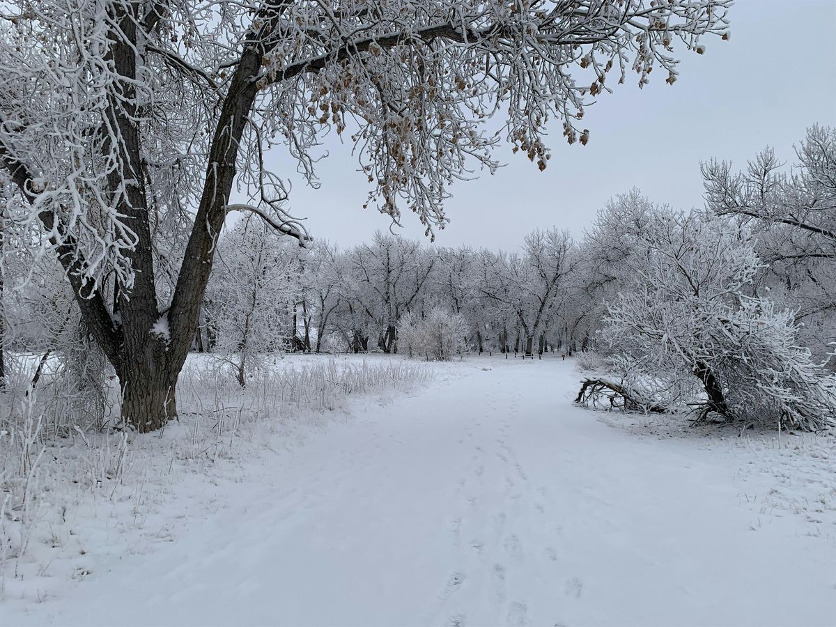 Winter Solstice Celebration & Mindfulness Walk
