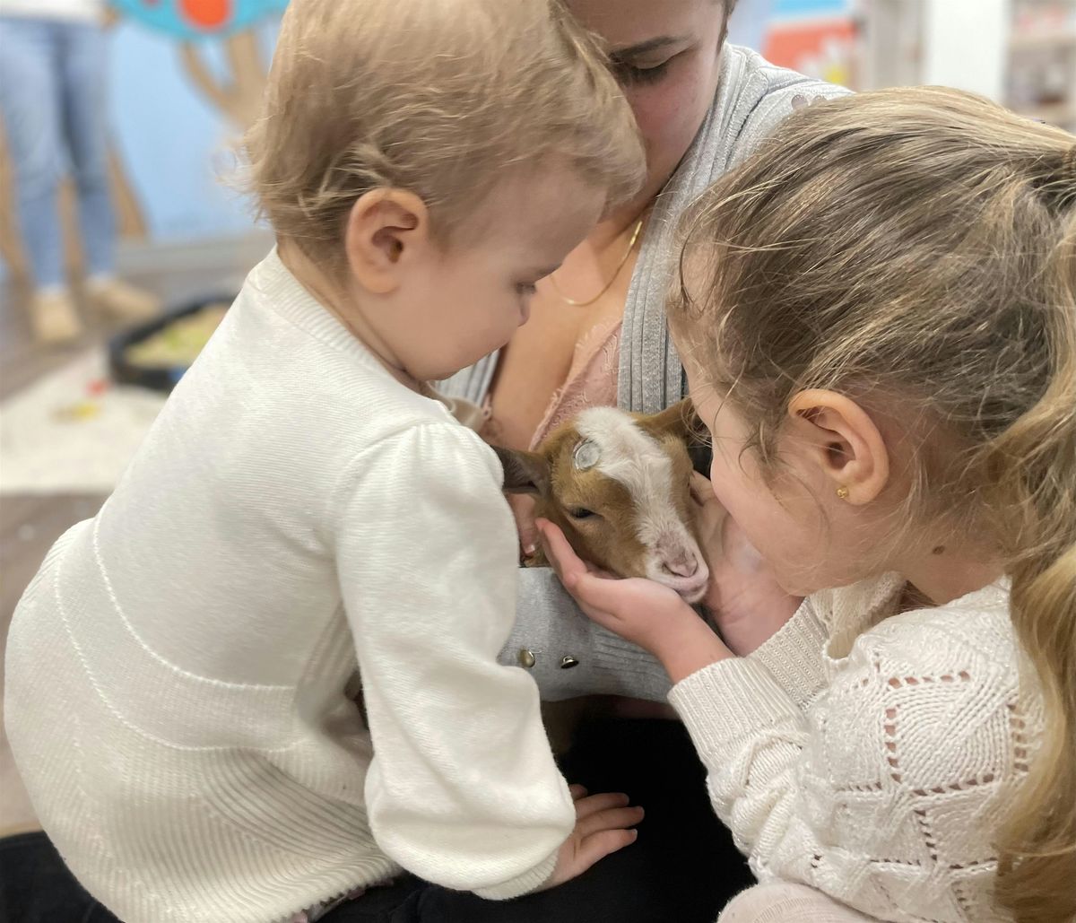 Sunday Goat Snuggling at St. Stephen\u2019s Church in Ridgefield