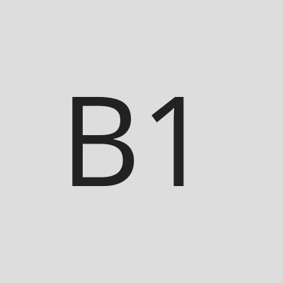 B19