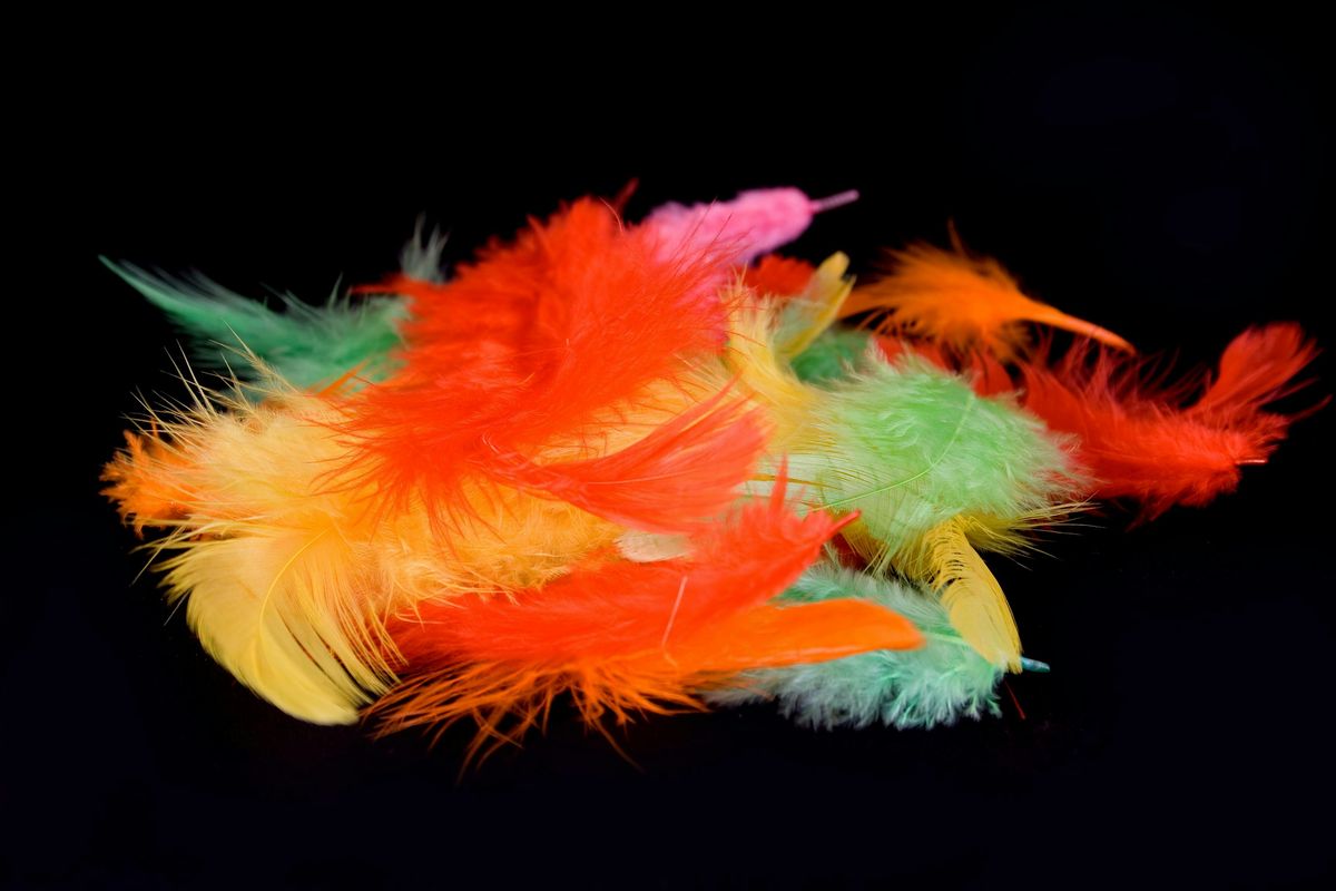 QUEEN- Salt Spring Island