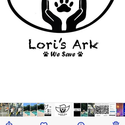 Lori\u2019s Ark,  Animal Rescue