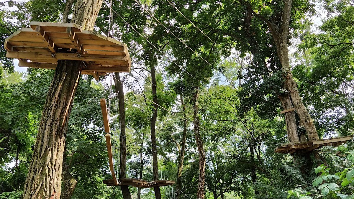 Go Ape Treetop Challenge (from Birmingham)