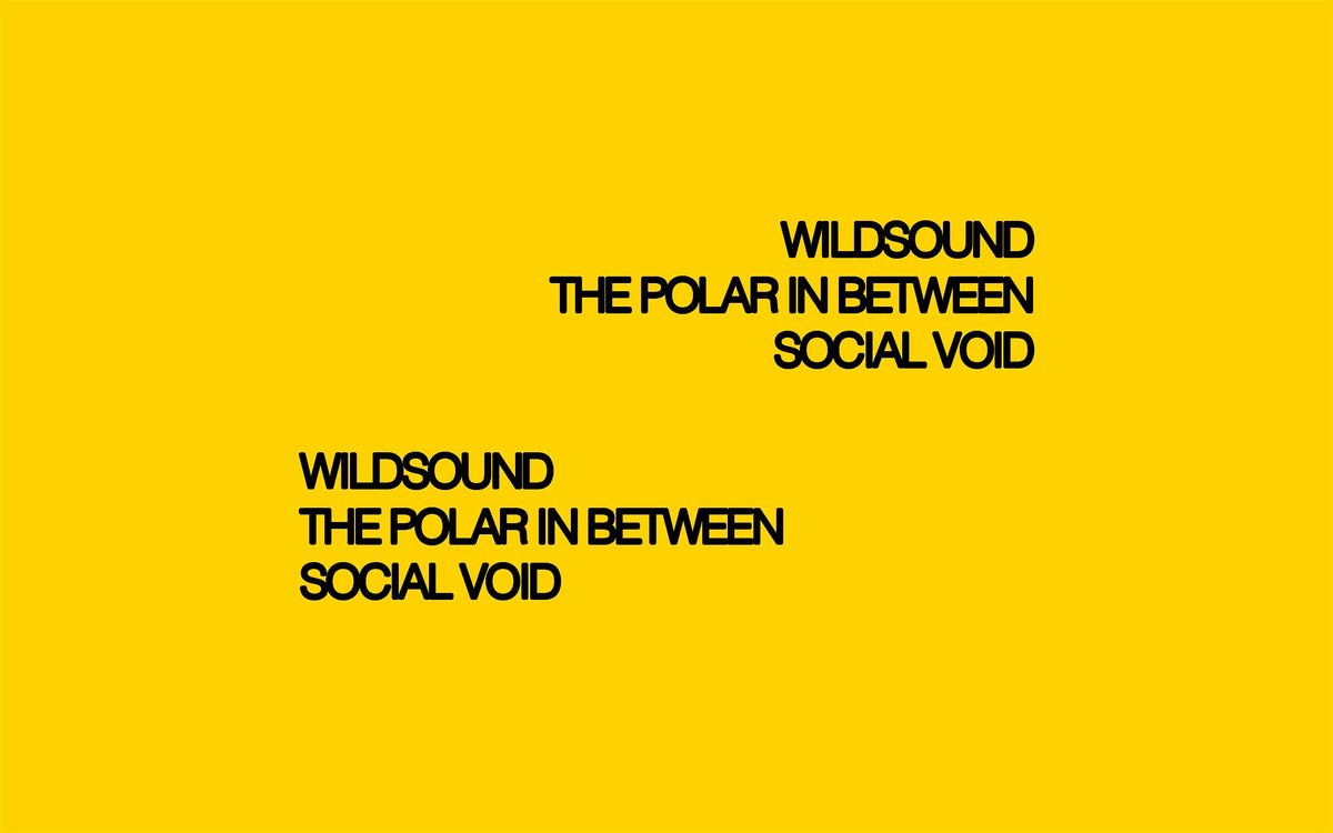 Wildsound \/\/ The Polar In Between \/\/ Social Void - LIVE AT LOFI