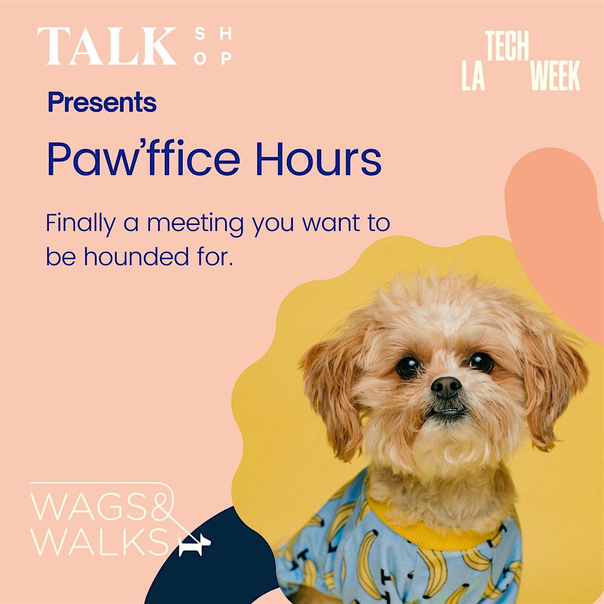 Paw'ffice Hours - #LATechWeek