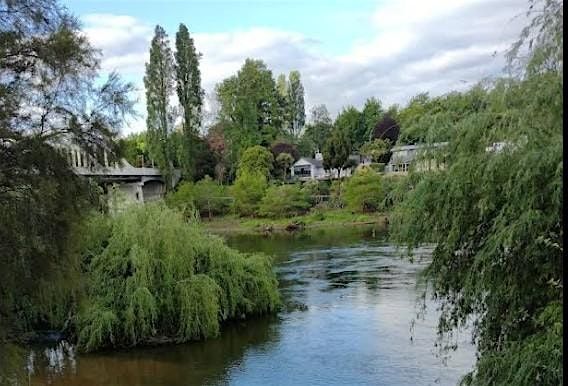 Hamilton forage fun!