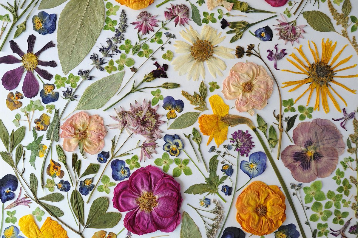 IMPRESS ME: A Pressed Flower Art Workshop by Wildly Impressed