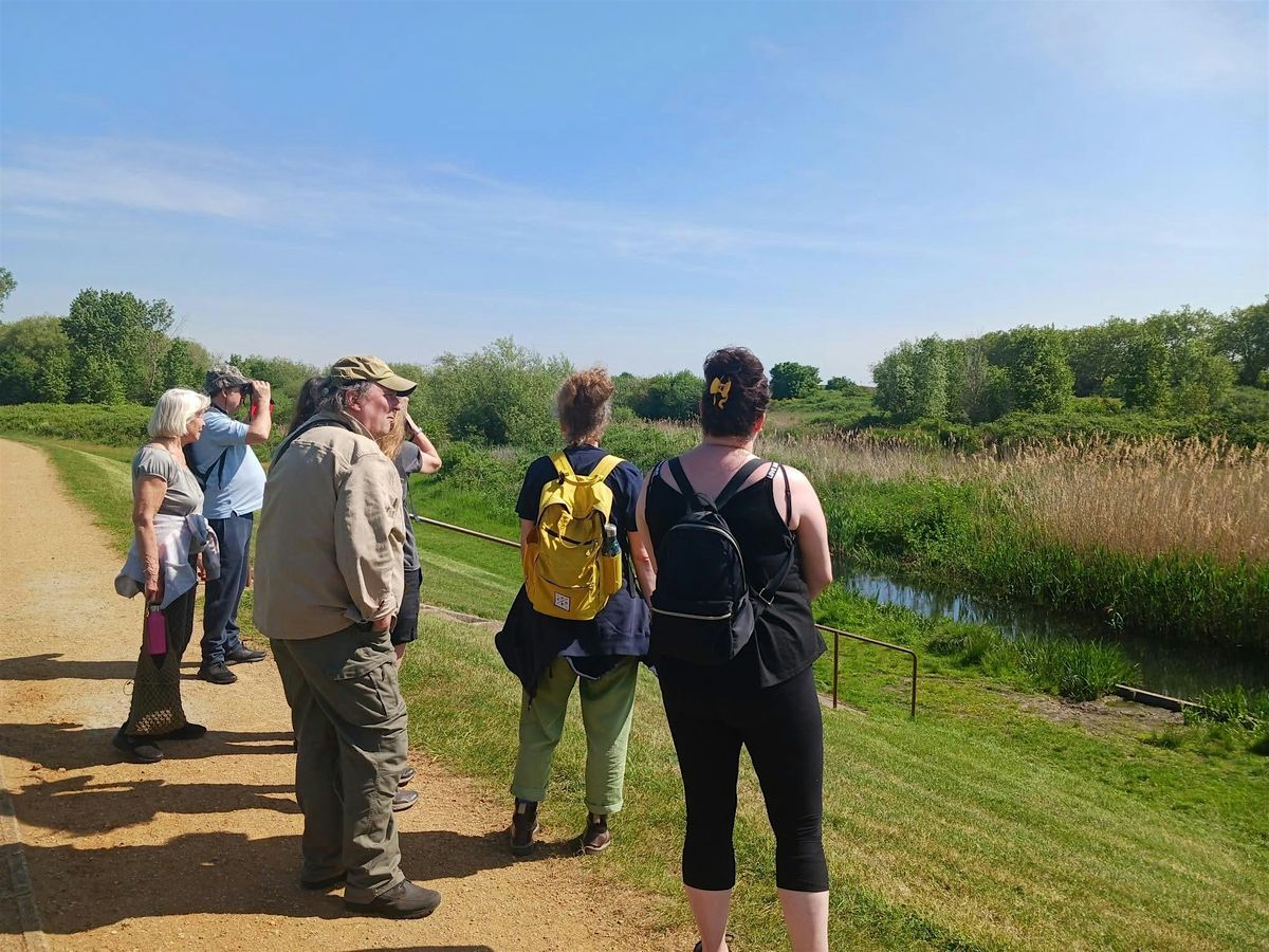 Active Maldon Wellbeing Walk:  Bradwell Shell Bank Nature Reserve
