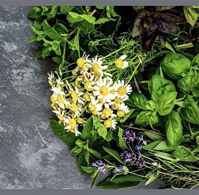 Workshop: Working with Edible Flowers, Herbs and Wilds