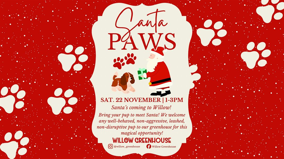Santa Paws!
