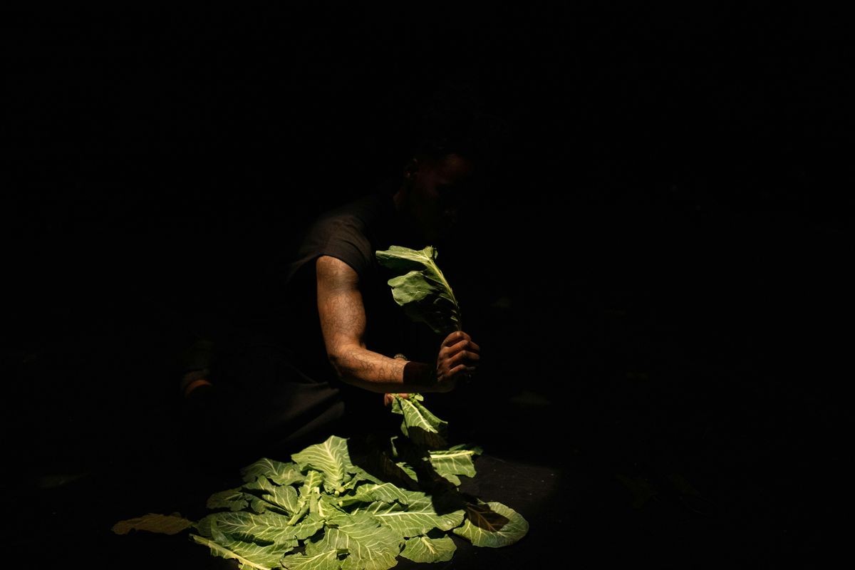 Performance: Transtraterrestrial