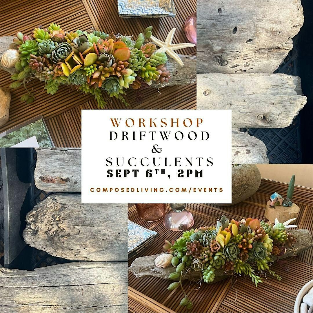 Workshop: Driftwood & Succulents w\/Jules