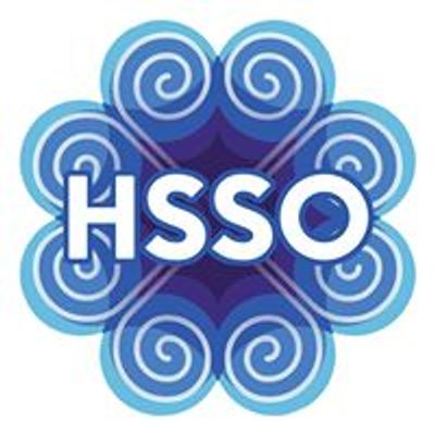 Hmong Stout Student Organization-HSSO