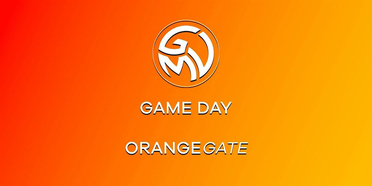 ORANGE  GATE VOLLEY MILANO VS ASD MAJESTIC VOLLEY SEREGNO