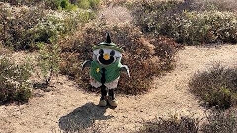 Shrub Club at Chino Hills State Park