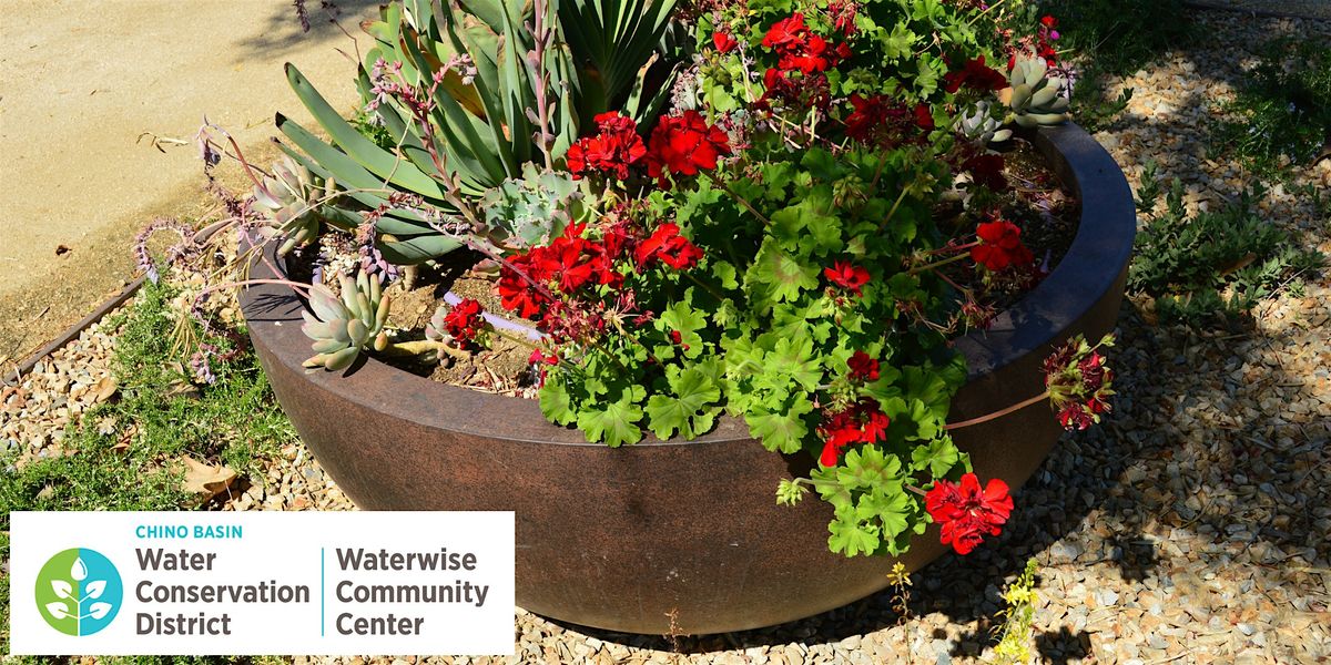 Waterwise and California Native Plant Container Gardening