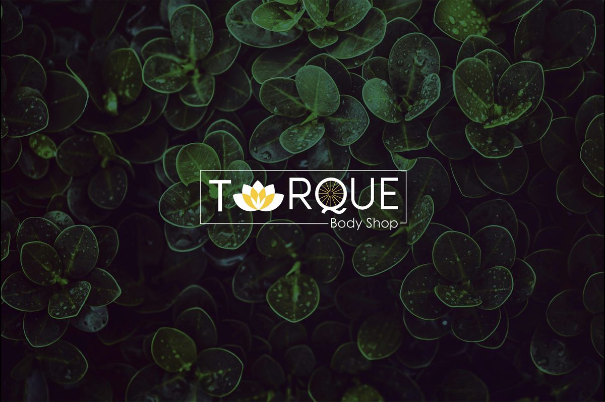 Torque Body Shop Preview Event: Meet the Team, Feel the Energy!