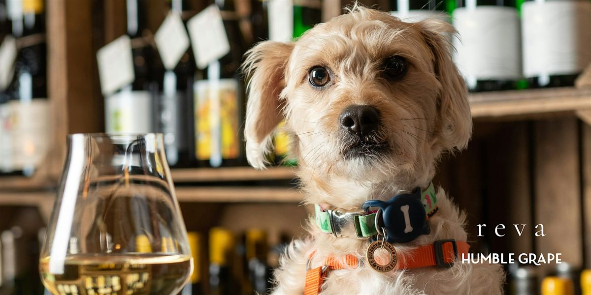 Paws & Pours: Wine Tasting Social For Dog Lovers