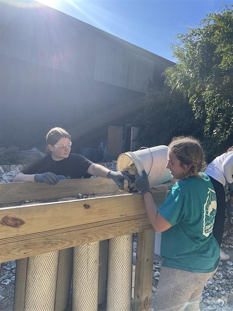 Volunteer Shell Bagging Event-November 1-Delaware
