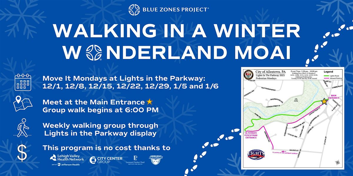 BZP Allentown Winter Wonderland Walking Moai