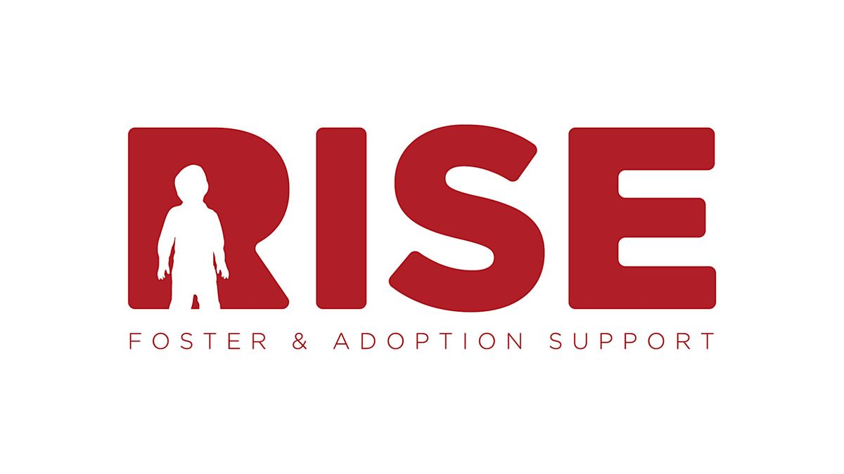 Rise Trauma Informed Training