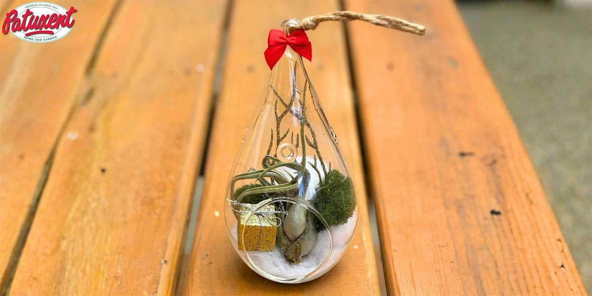 Tiny Winter Worlds Workshops