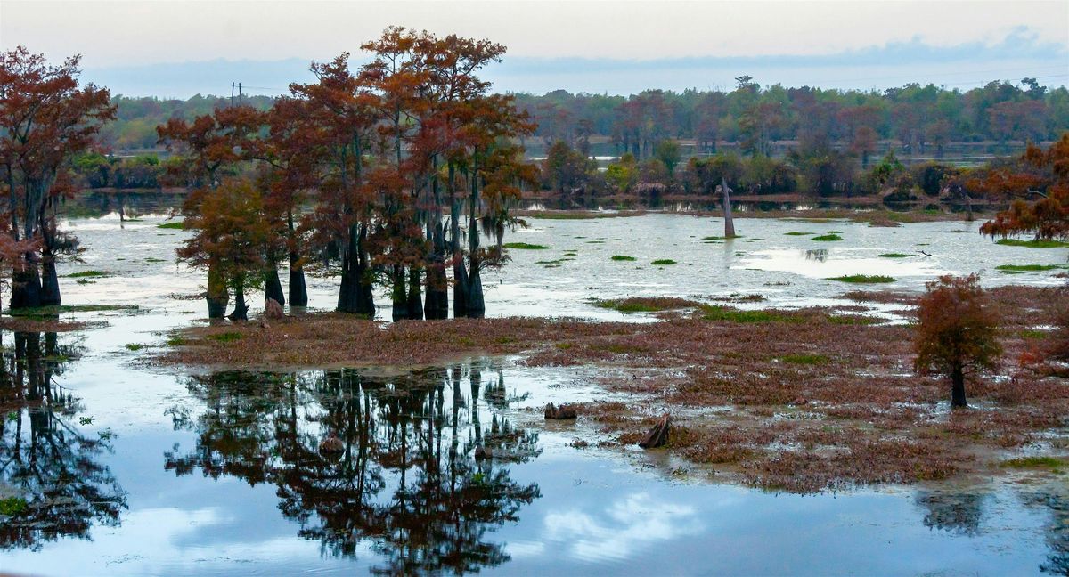 A Fun-Filled Scavenger Hunt! - St. Martinville Scavenger Hunt