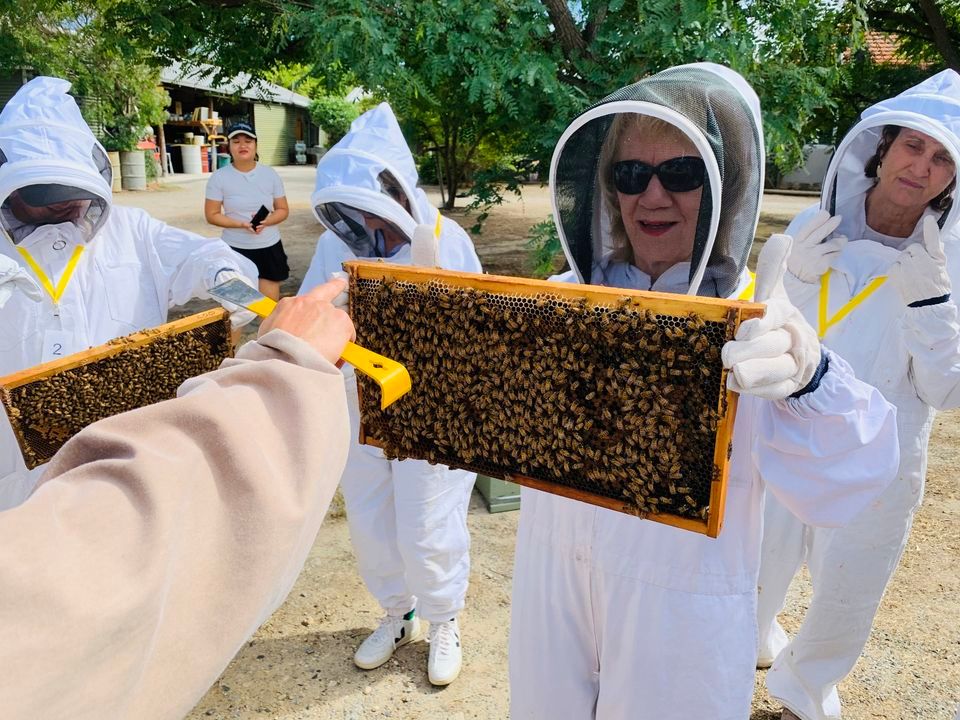 Bee Safari as part of Entwined in the Valley