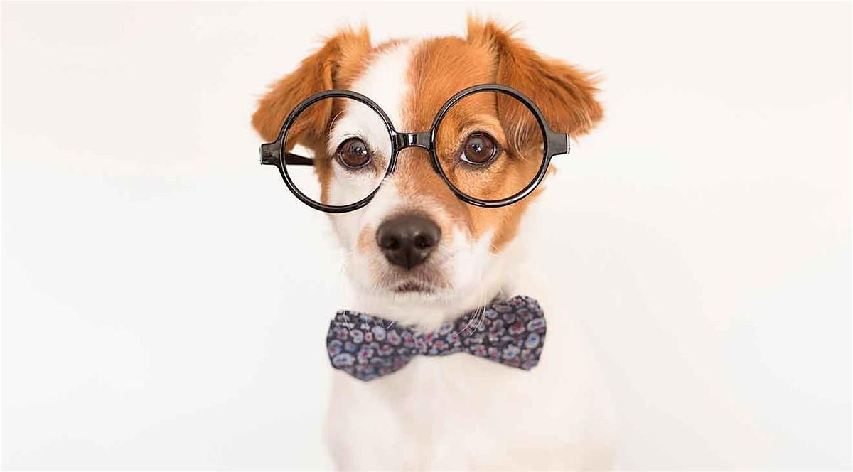 Tail Wag Trivia Night: A Pup Party and Fundaraiser