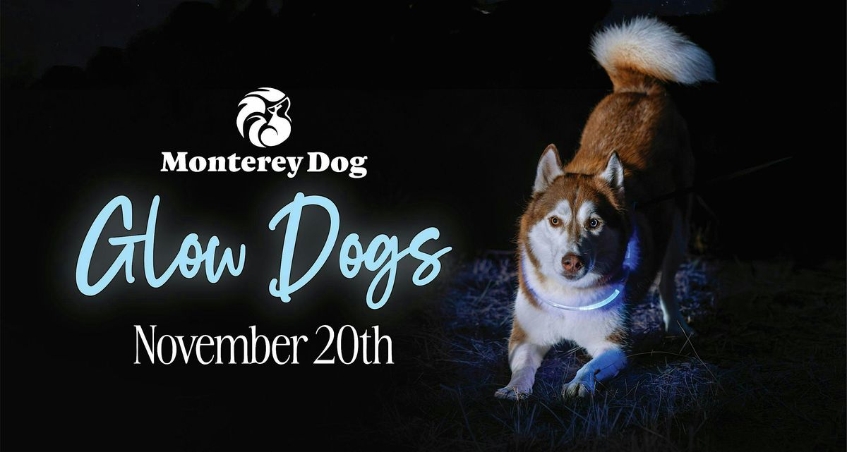 Glow Dogs with Monterey Dog