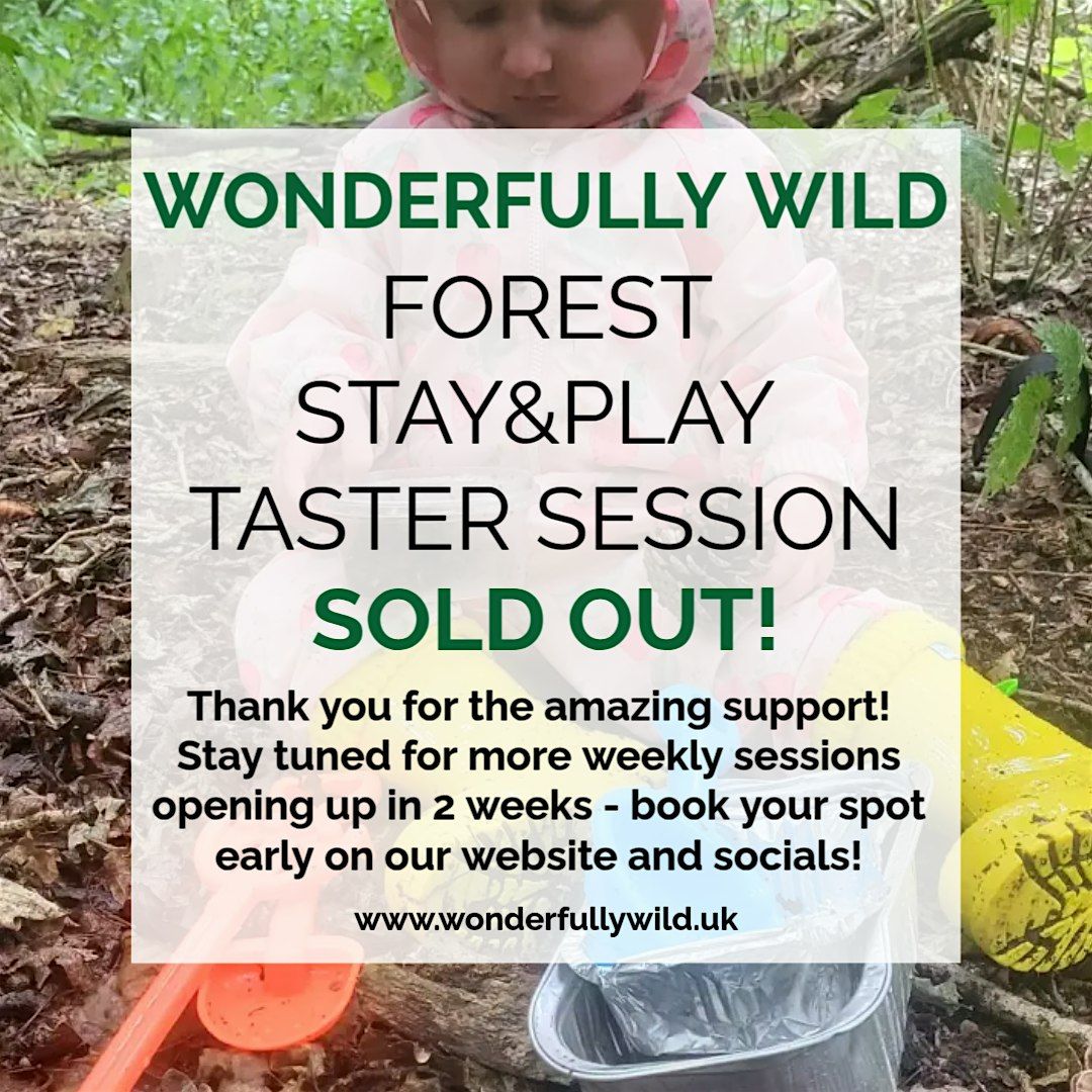 Forest Stay and Play