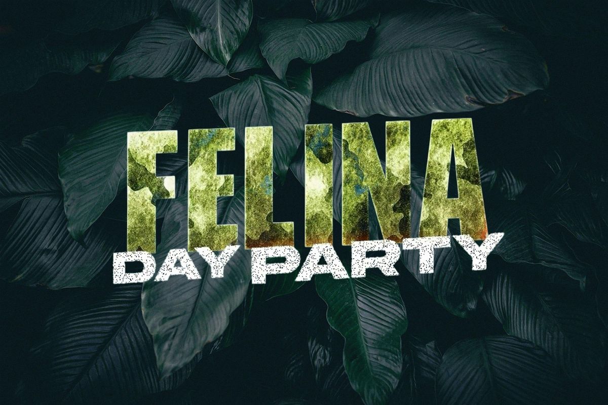 Felina Day Party
