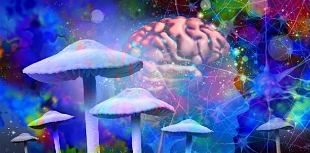 Parts Work & Psychedelics: Integration as the Heart of Healing