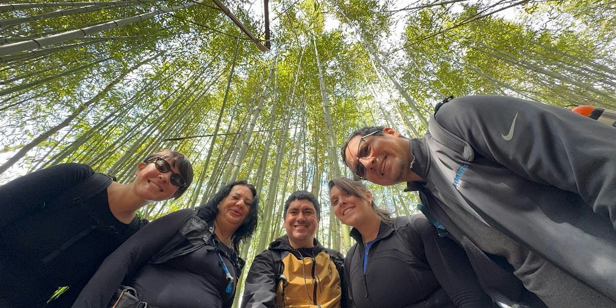 Weekday Hikes in New Jersey #56: Mills Reservation