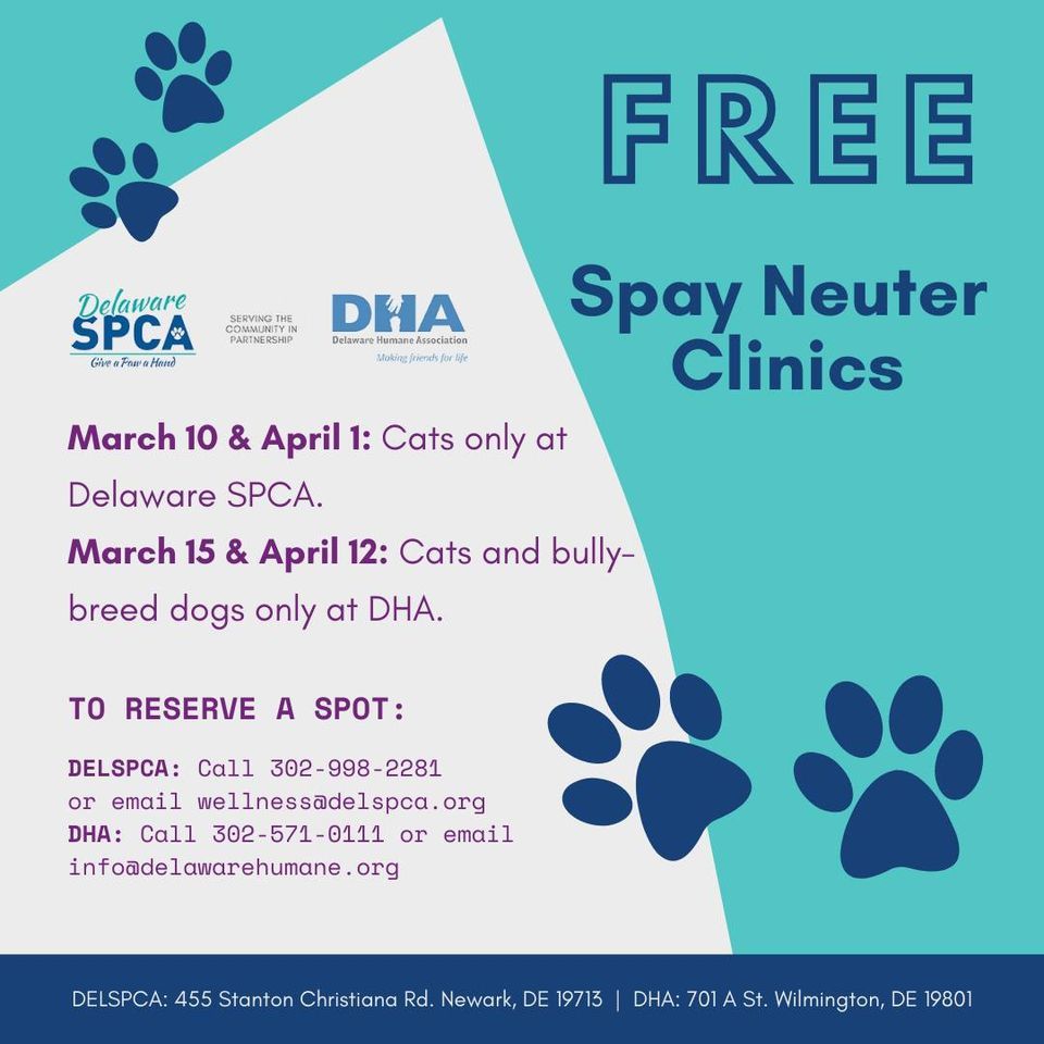 Free Spay/Neuter Clinic Series with Delaware SPCA Delaware Humane