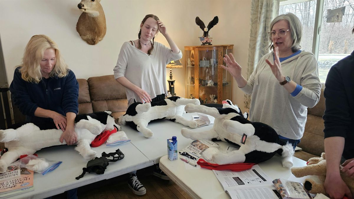 Pet Tech\u00ae Pet CPR & First Aid