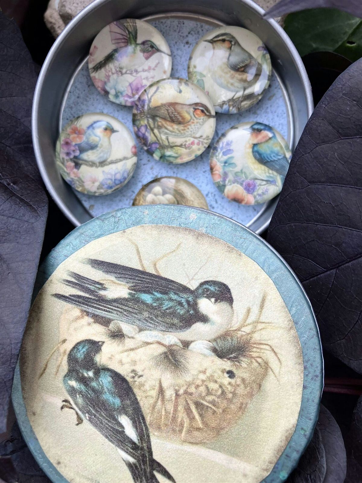 DIY Bird Themed Magnet Gift Set- Art Class