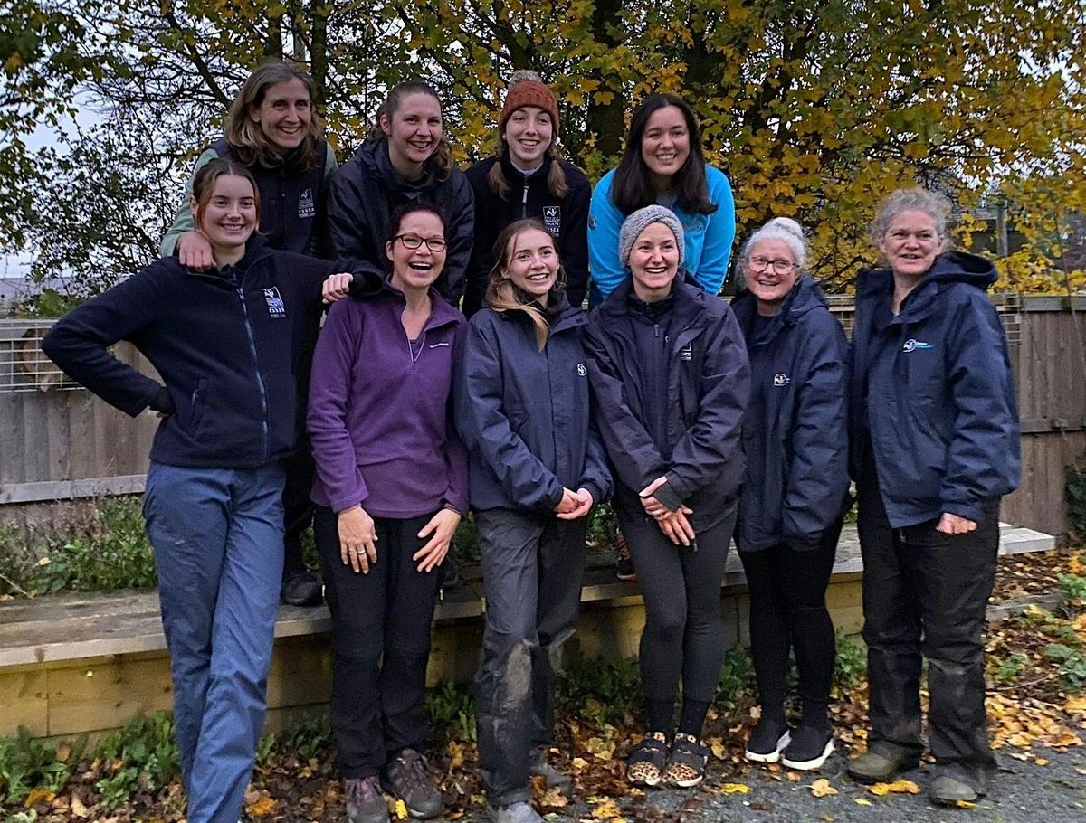 Langdon Spring Forest School Upskilling