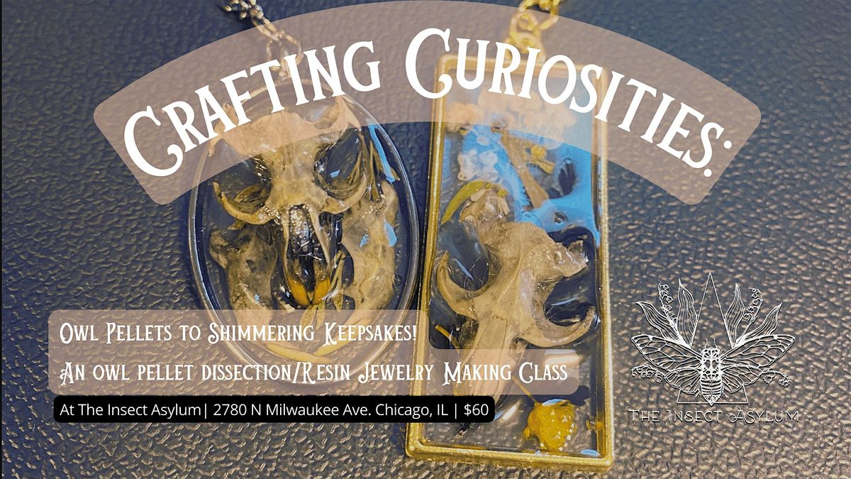 Owl Pellet Dissection\/Jewelry Making Workshop - Last Saturday of the Month