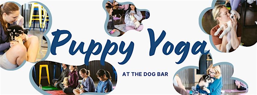 Copy of Puppy Yoga with Far Fetched Dog Rescue at Crate Escapes