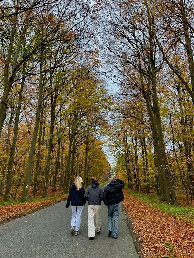 TCG -Coffee + Walk & New Friends - Dublin