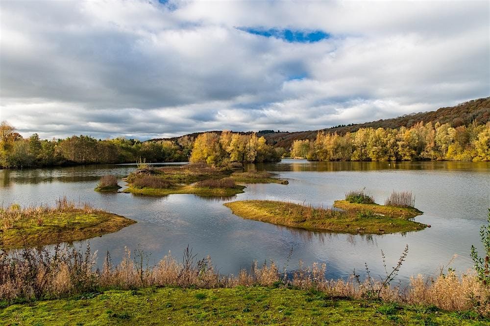 Roving Volunteer Group - Bodenham Lake