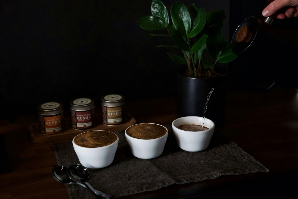 Corvus All Gesha Cupping: Reserve Level Palate Development - Uptown