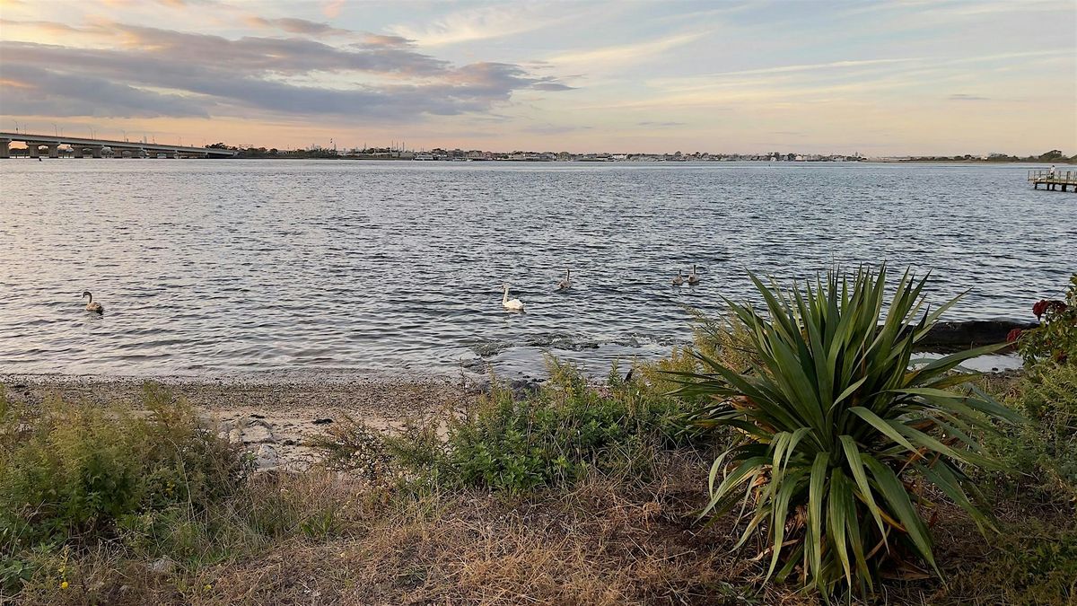 Saturday Guided Paddle (Beach 75th St.) 2025