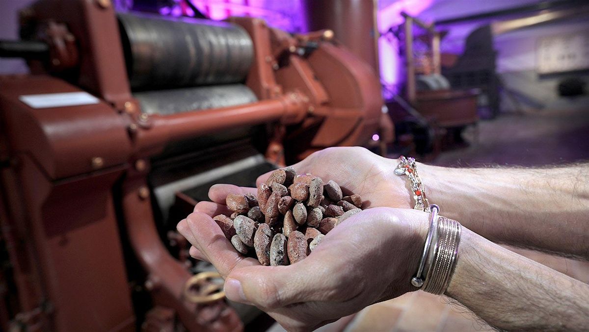 Il Museo del Cioccolato: Un Tuffo Goloso nella Storia