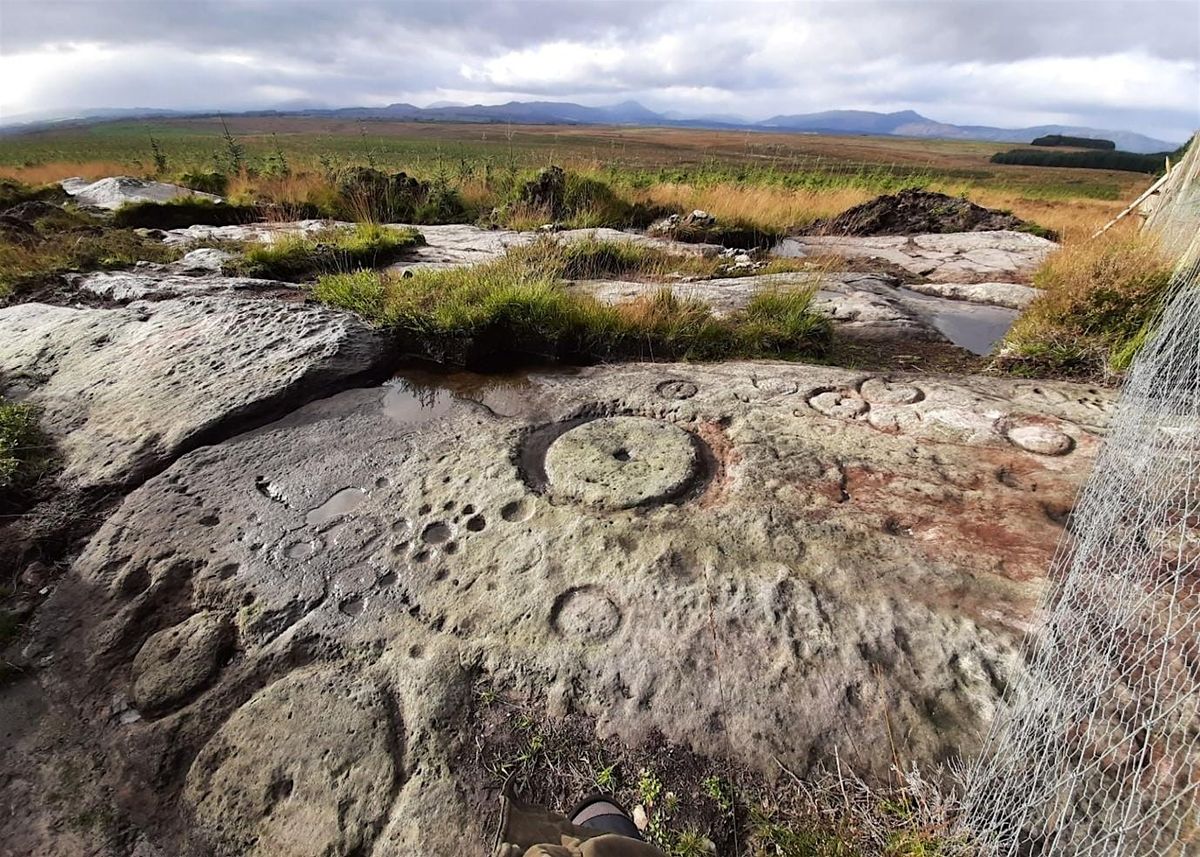Talk on 'Broughmore Wood rock carvings and their implications'