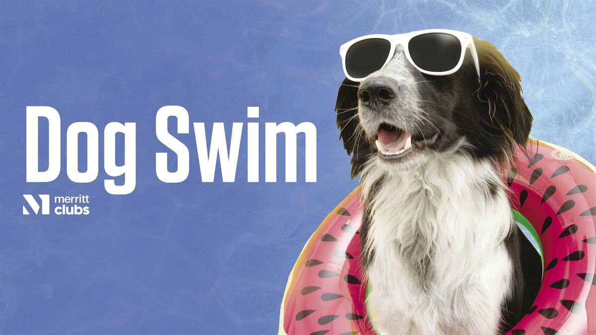 Fall Festival & Dog Swim (Towson)