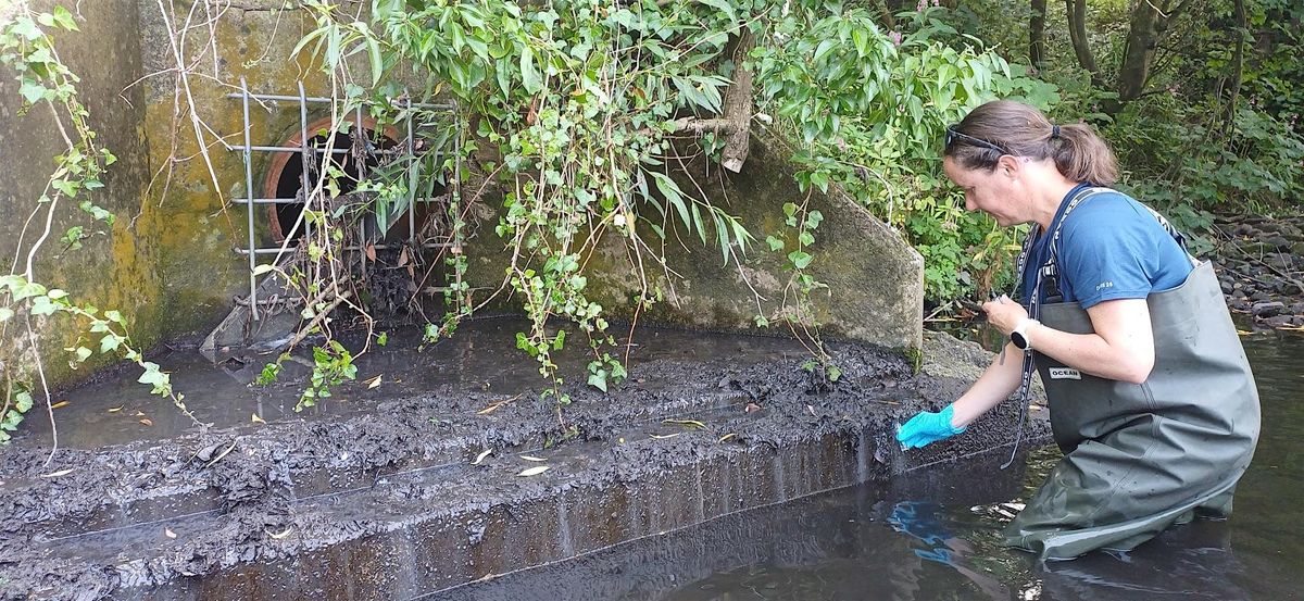 Harrogate Outfall Safari: Results & Update